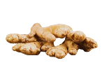 Gừng